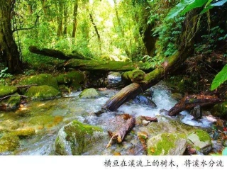 騰沖戶外徒步丨林家鋪，剛好18°C